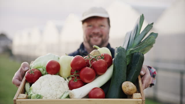 SLO MO Smiling Male Farmer Showing Crate Full of Fresh Vegetables to Camera on Field during Sunny Day