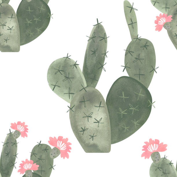 Cacti. Seamless watercolor pattern for wrapping paper, wallpaper and textiles. Cacti. Seamless watercolor pattern for wrapping paper, wallpaper and textiles sonoran desert cactus prickly pear cactus single flower stock illustrations