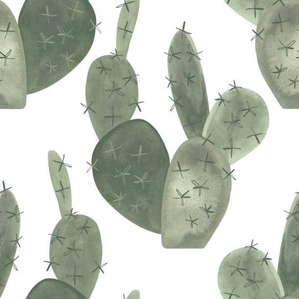 cacti. seamless watercolor pattern for wrapping paper, wallpaper and textiles. - sonoran desert illustrations stock illustrations