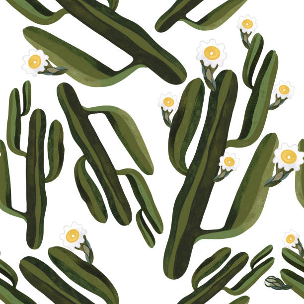 ilustrações, clipart, desenhos animados e ícones de floração de cacto saguaro. padrão de aquarela sem costura para papel de embrulho, papel de parede e têxteis. - sonoran desert illustrations