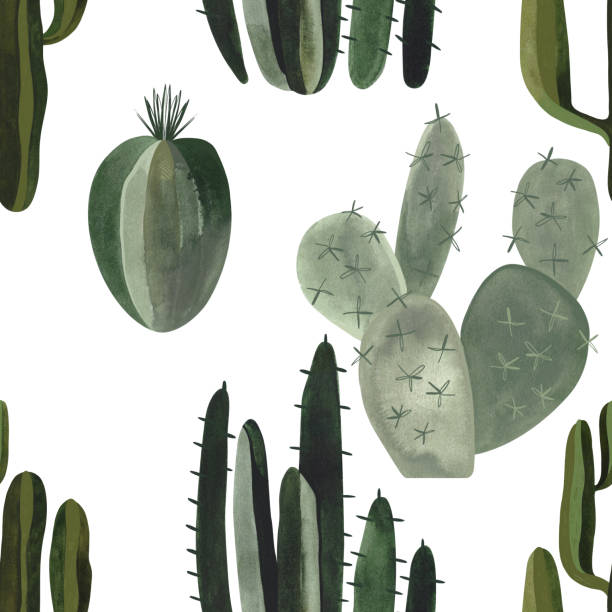 kaktusy. bezszwowy wzór akwarelowy do papieru pakowego, tapet i tekstyliów. - sonoran desert illustrations stock illustrations