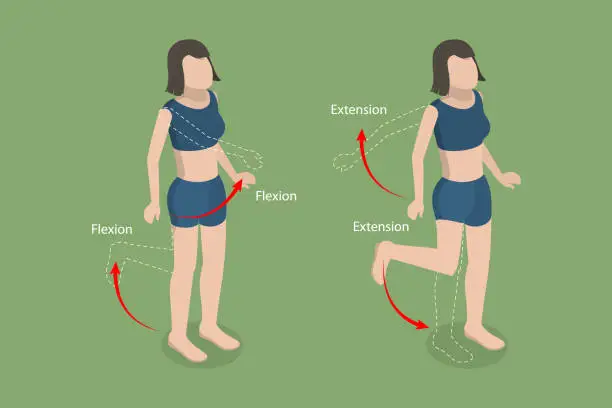 Vector illustration of 3D Isometric Flat Vector Conceptual Illustration of Flexion And Extension