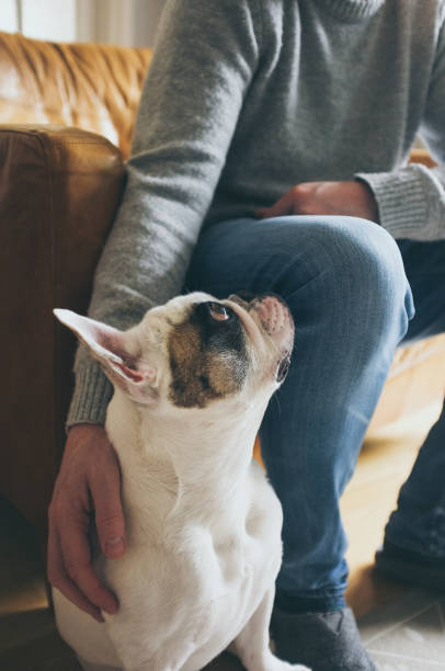 istock Man and his best friend dog 2043653464