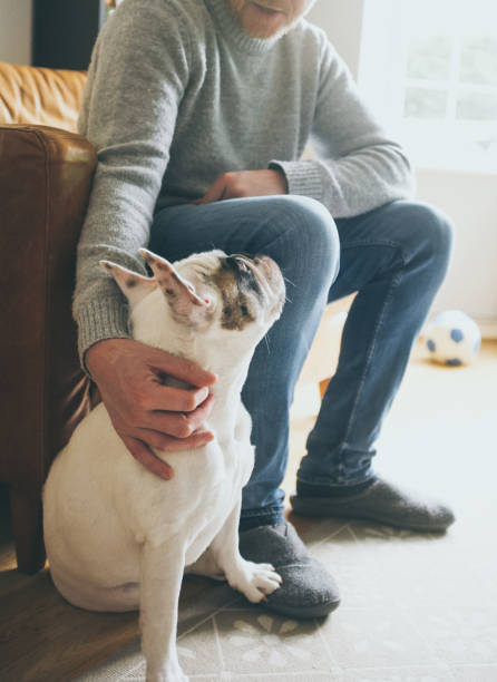 istock Man and his best friend dog 2043653482
