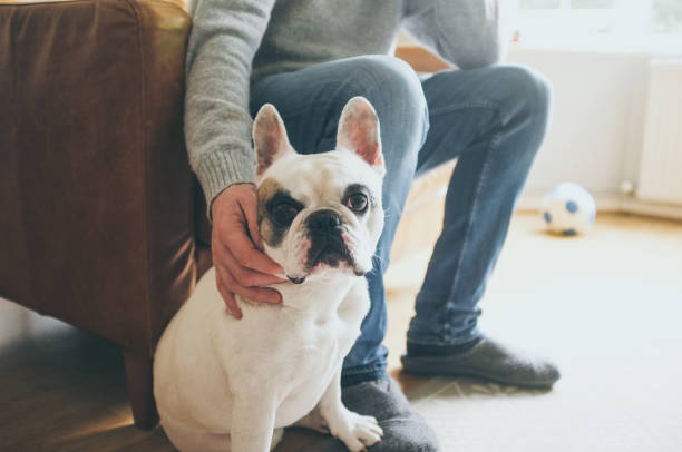 istock Man and his best friend dog 2043653515