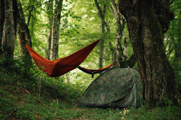 istock A person in hammock resting next to a tent in a forrest. 2043662836
