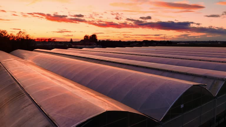 High Angle Drone Footage of Large Greenhouse on Agricultural Field against Dramatic Orange Sky during Sunset