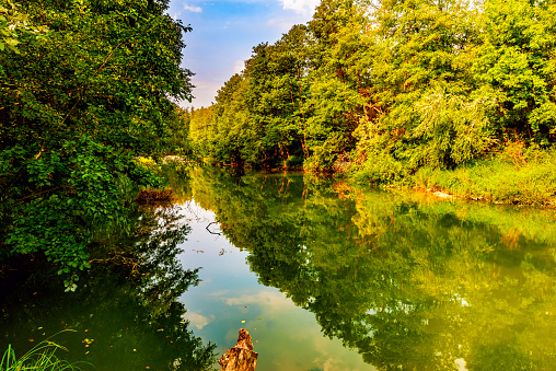 A river with a very slow flow along the banks of which there is dense deciduous forest. Quiet place, the sky and forest are reflected in the water. One bank and the trees on it are illuminated brighter by the rising sun.