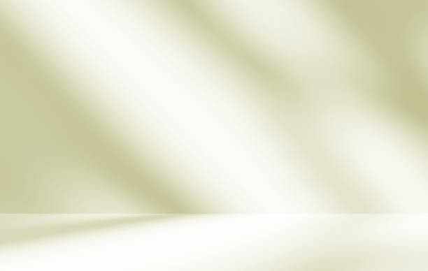 istock Empty light brown green room studio with leaves shadow effect overlay sunlight through the window. 2043690165