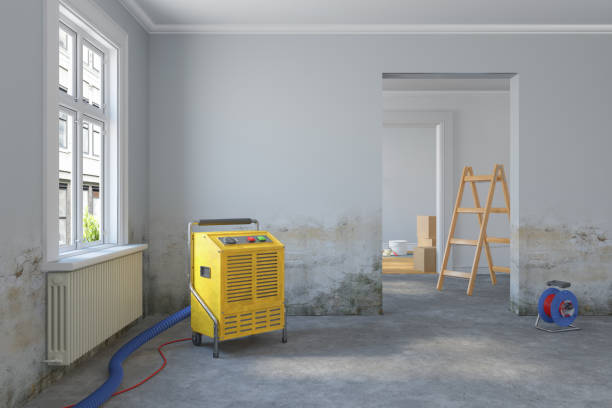 3d rendering - empty scandinavian room - dehumidifier - renovate