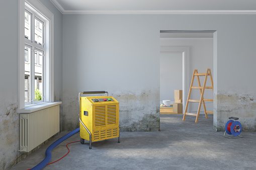 3d rendering of an empty scandinavian room with water damage and building dryer - renovate