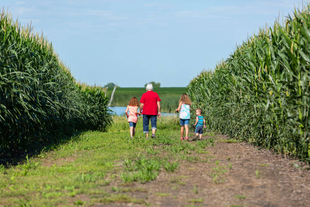 istock Grandma & Grandchildren Going For Walk on Farm 2043721154