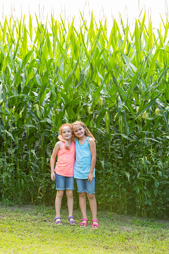 Two young girls - sisters - smiling for the camera as they pose in front of a tall corn field on the farm in summer.