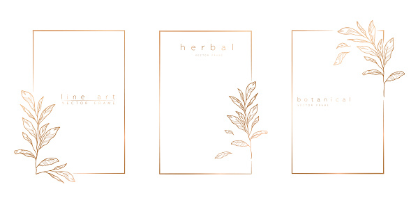 Set of frame templates in minimal linear style with hand drawn branches and leaves. Elegant frame. Botanical vector illustration for labels, corporate identity, wedding invitation, logo, save the date