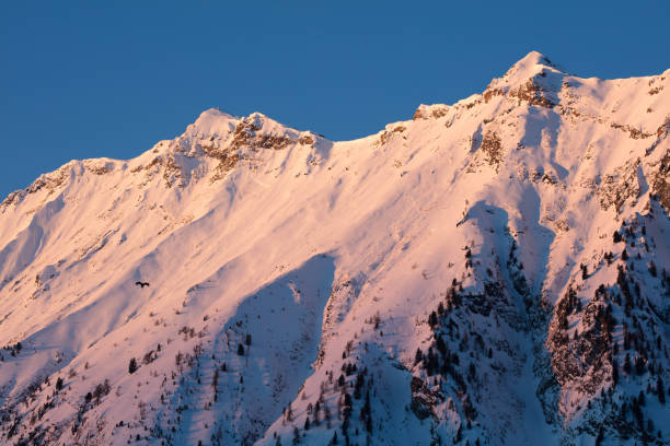 Winter dawn in the mountains.