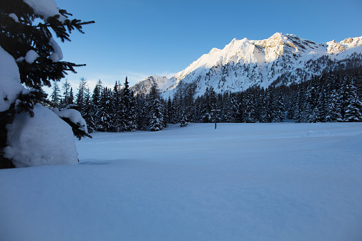 The first rays of light illuminate the snow-capped peak of Zerbion, above Champoluc. The pine forest is covered with freshly fallen snow.