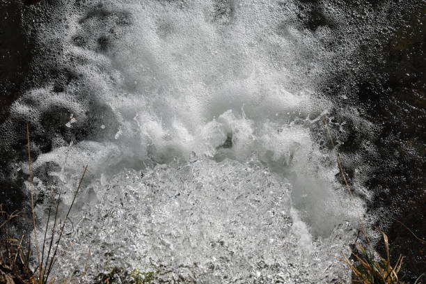 waterfall - jungfrau waterfall tree nature zdjęcia i obrazy z banku zdjęć