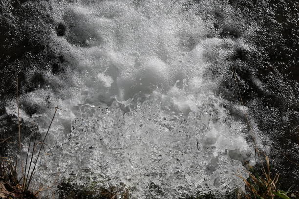 waterfall - jungfrau waterfall tree nature zdjęcia i obrazy z banku zdjęć