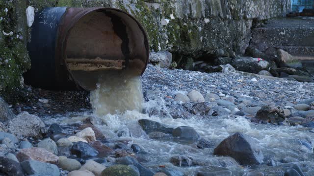 Polluted Water Flowing from a Pipe on Shore