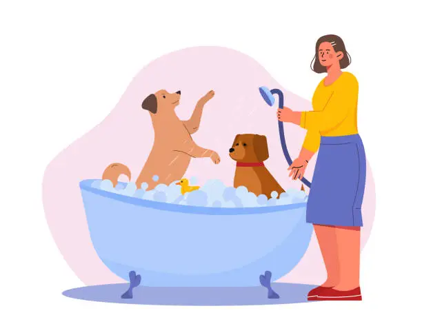 Vector illustration of Bath dog vector concept