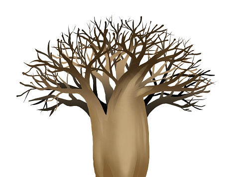 illustration of baobab tree isolated on white