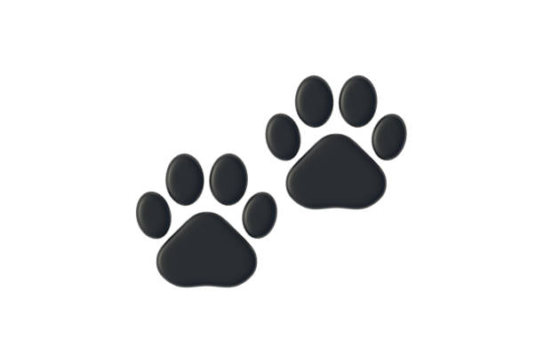 istock Pet footprints isolated on white background. Animal tracks. Top view. 3d render 2043922445