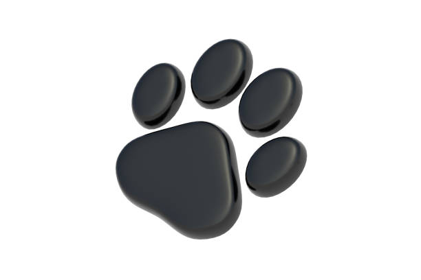 istock Pet footprint isolated on white background. Animal track. 3d render 2043922448