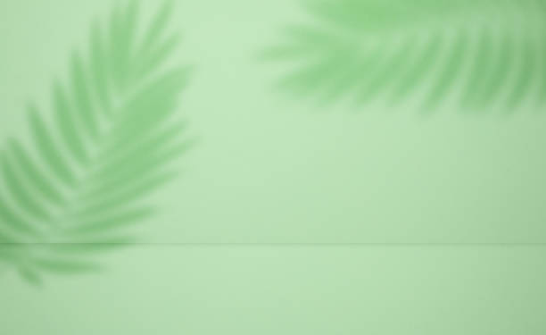 istock Green stage with shadow from a palm leaf for product demonstration and advertising 2043927113