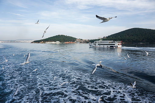 Shipping Marmara Sea along the Princes Islands near Istanbul. Gulls and ferry with islands in the background.