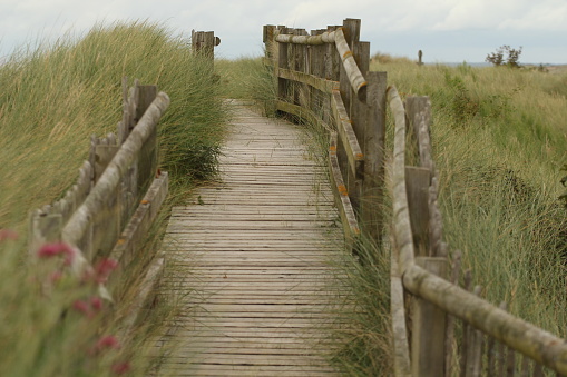 Wooden walkway through dunes to sea at papamoa, Tauranga New Zealand.