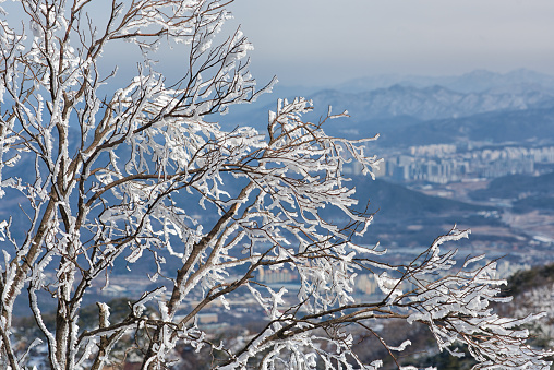 Winter Mountain, Seoul Korea