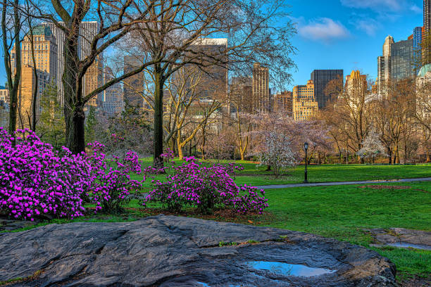 istock Central Park in spring, early orning 2044053319