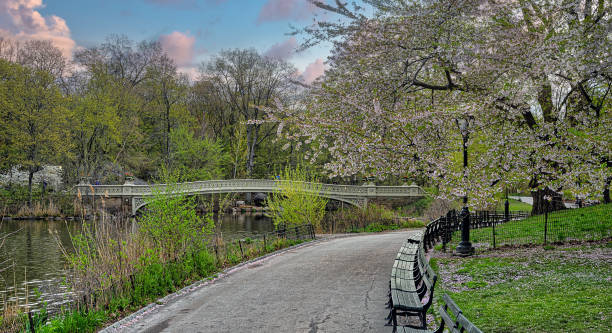 istock Bow bridge in the morning in early spring 2044053853