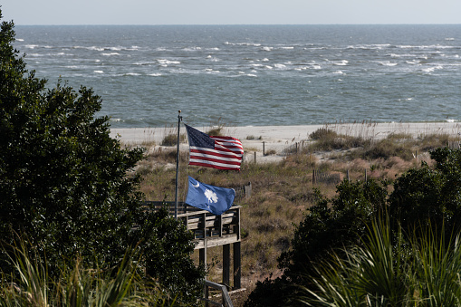 South Carolina ocean beach view with American and South Carolina state flags.