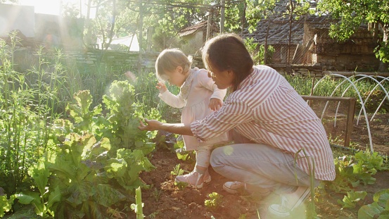 Taking care of the garden and teaching children about sustainability and nature.