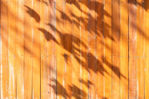 Tree leaves shadow on wooden wall background
