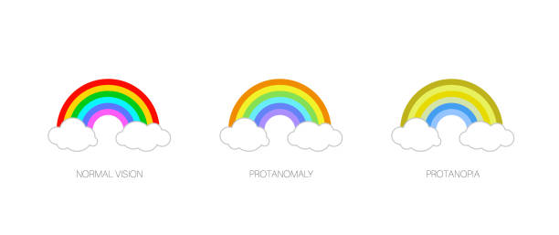 Example Images For Protanopia 30+ Protanomaly Stock Photos, Pictures & Royalty-Free Images - iStock
