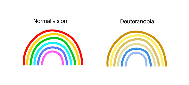 Deuteranopia and normal vision, color blindness infographic. Human vision deficiency concept. Difference between colors, brightness and intensity of shades flat vector illustration