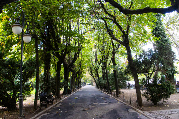 Alley in Cismigiu park in Bucharest, Romania