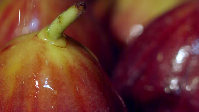Delicious fig fruits continental climates. Popular foods Mediterranean
