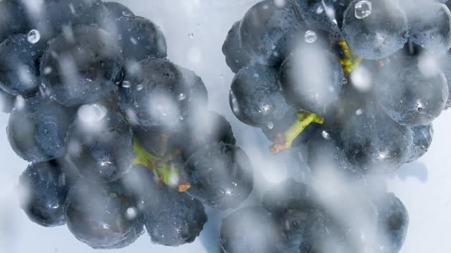 Wash grapes. 4K slow motion video.