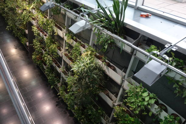 istock greenhouse for vegetable and plant production 2044141124