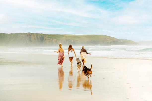 istock friends at the beach with their dogs 2044240553