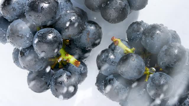 Wash grapes. 4K slow motion video.