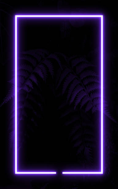 istock Fern leaves trees and dark wall background, blue neon light and rectangle shape with vertical banner. 2044334860