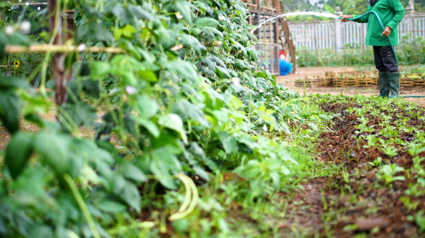 istock Smart farmer in eco green farm sustainable quality control. 2044391051