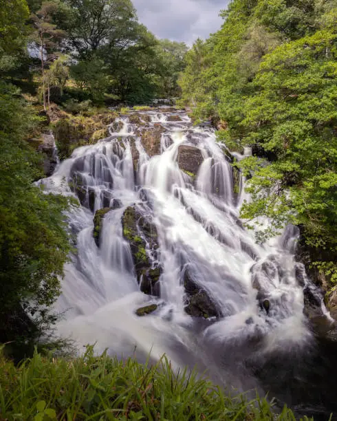Photo of Beautiful cascading waterfall through a lush green landscape - Swallow Falls in Betws y Coed, North Wales