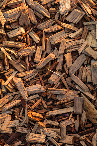 Close-up view of cedar wood chip garden mulch for background pattern