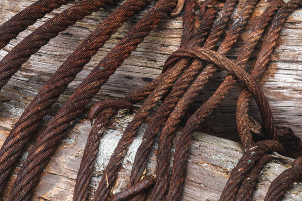 Close-up of a group of logs tied together with rusty metal rope.