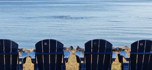 4 blue Adirondack chairs overlooking the ocean
